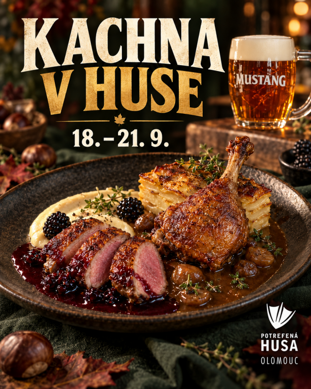 KACHNA V HUSE